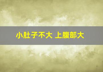 小肚子不大 上腹部大