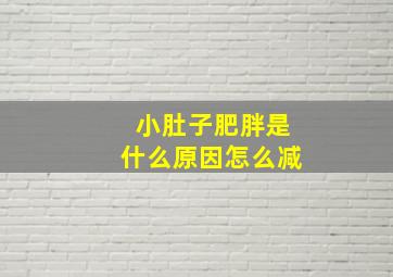 小肚子肥胖是什么原因怎么减