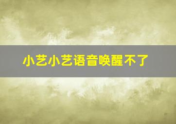 小艺小艺语音唤醒不了