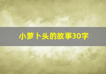 小萝卜头的故事30字