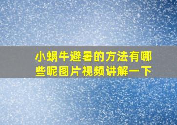 小蜗牛避暑的方法有哪些呢图片视频讲解一下