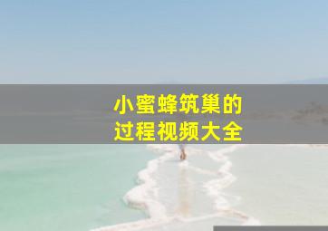 小蜜蜂筑巢的过程视频大全