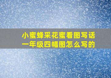 小蜜蜂采花蜜看图写话一年级四幅图怎么写的