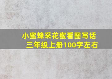 小蜜蜂采花蜜看图写话三年级上册100字左右