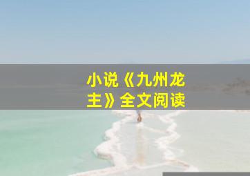 小说《九州龙主》全文阅读