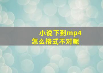 小说下到mp4怎么格式不对呢