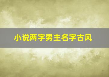 小说两字男主名字古风