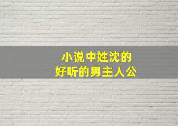 小说中姓沈的好听的男主人公