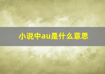 小说中au是什么意思