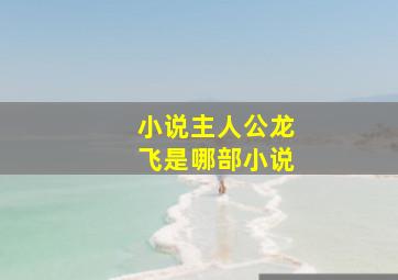 小说主人公龙飞是哪部小说