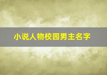 小说人物校园男主名字