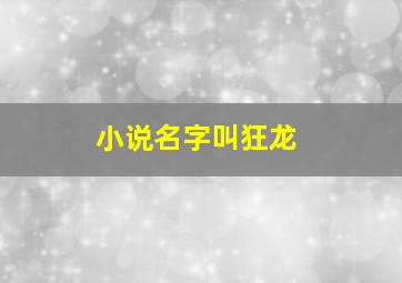 小说名字叫狂龙