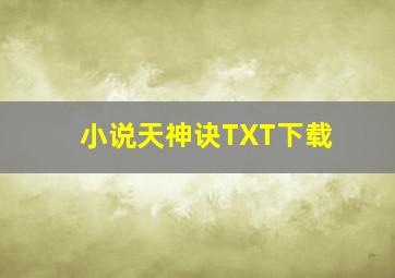 小说天神诀TXT下载