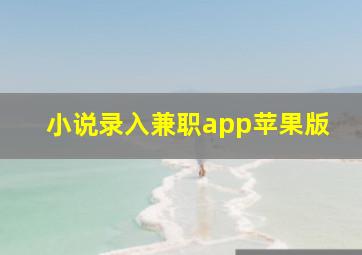 小说录入兼职app苹果版