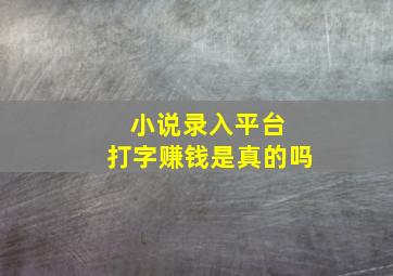 小说录入平台 打字赚钱是真的吗