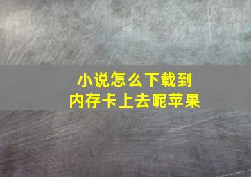 小说怎么下载到内存卡上去呢苹果