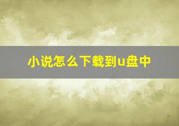 小说怎么下载到u盘中