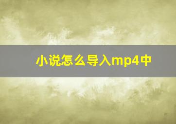 小说怎么导入mp4中