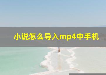 小说怎么导入mp4中手机