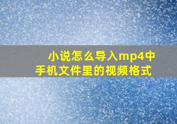 小说怎么导入mp4中手机文件里的视频格式