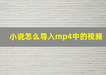 小说怎么导入mp4中的视频