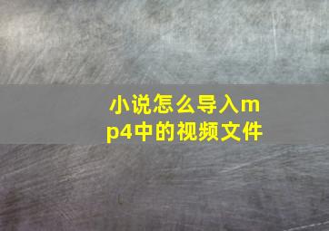 小说怎么导入mp4中的视频文件