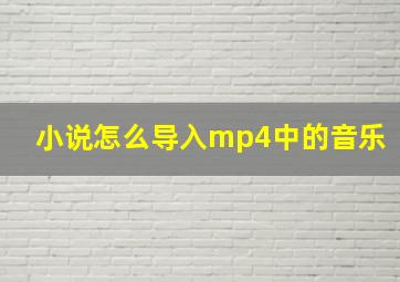 小说怎么导入mp4中的音乐