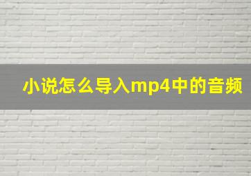 小说怎么导入mp4中的音频