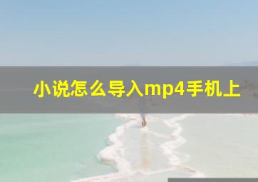 小说怎么导入mp4手机上