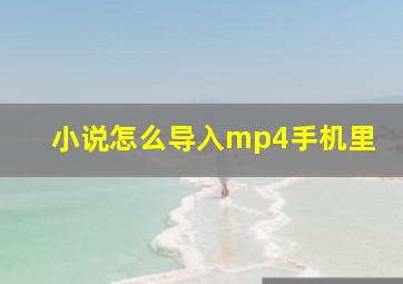 小说怎么导入mp4手机里