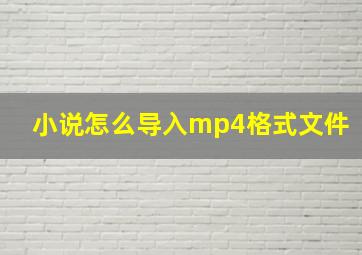 小说怎么导入mp4格式文件