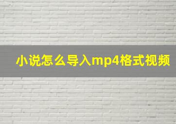 小说怎么导入mp4格式视频