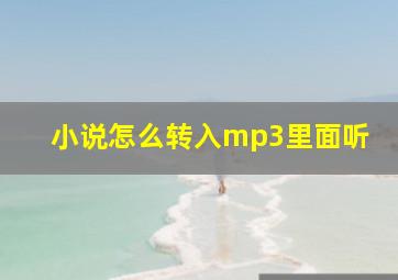 小说怎么转入mp3里面听