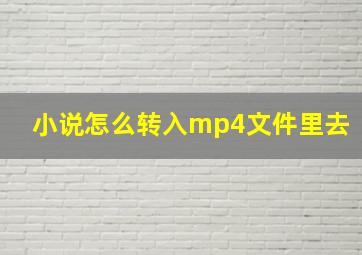 小说怎么转入mp4文件里去