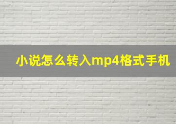 小说怎么转入mp4格式手机