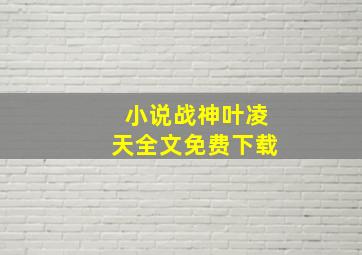 小说战神叶凌天全文免费下载