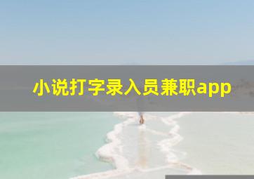 小说打字录入员兼职app