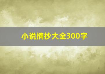 小说摘抄大全300字