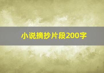 小说摘抄片段200字