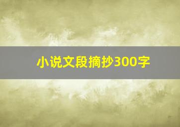 小说文段摘抄300字