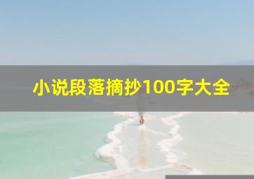 小说段落摘抄100字大全