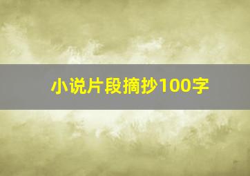 小说片段摘抄100字