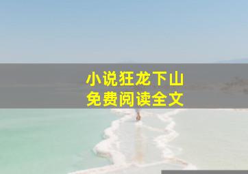 小说狂龙下山免费阅读全文