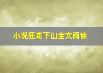 小说狂龙下山全文阅读