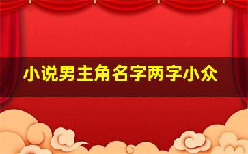 小说男主角名字两字小众