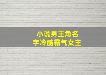 小说男主角名字冷酷霸气女主