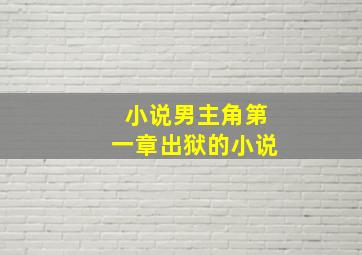 小说男主角第一章出狱的小说