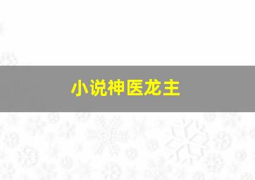 小说神医龙主