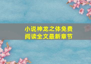 小说神龙之体免费阅读全文最新章节