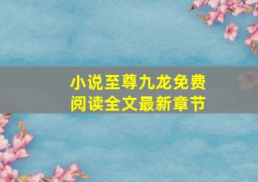 小说至尊九龙免费阅读全文最新章节